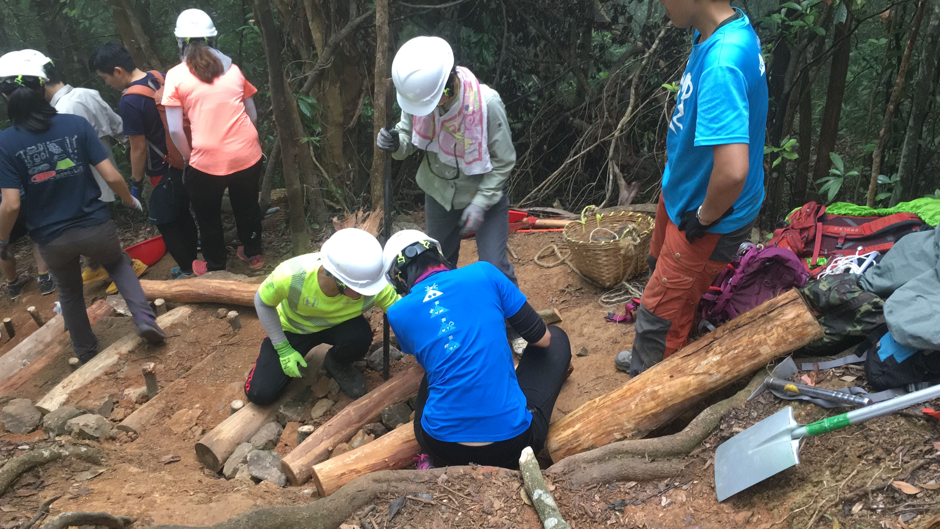 Reviving Nature: A Community Video Campaign for the Restoration of Section 4 of the MacLehose Trail