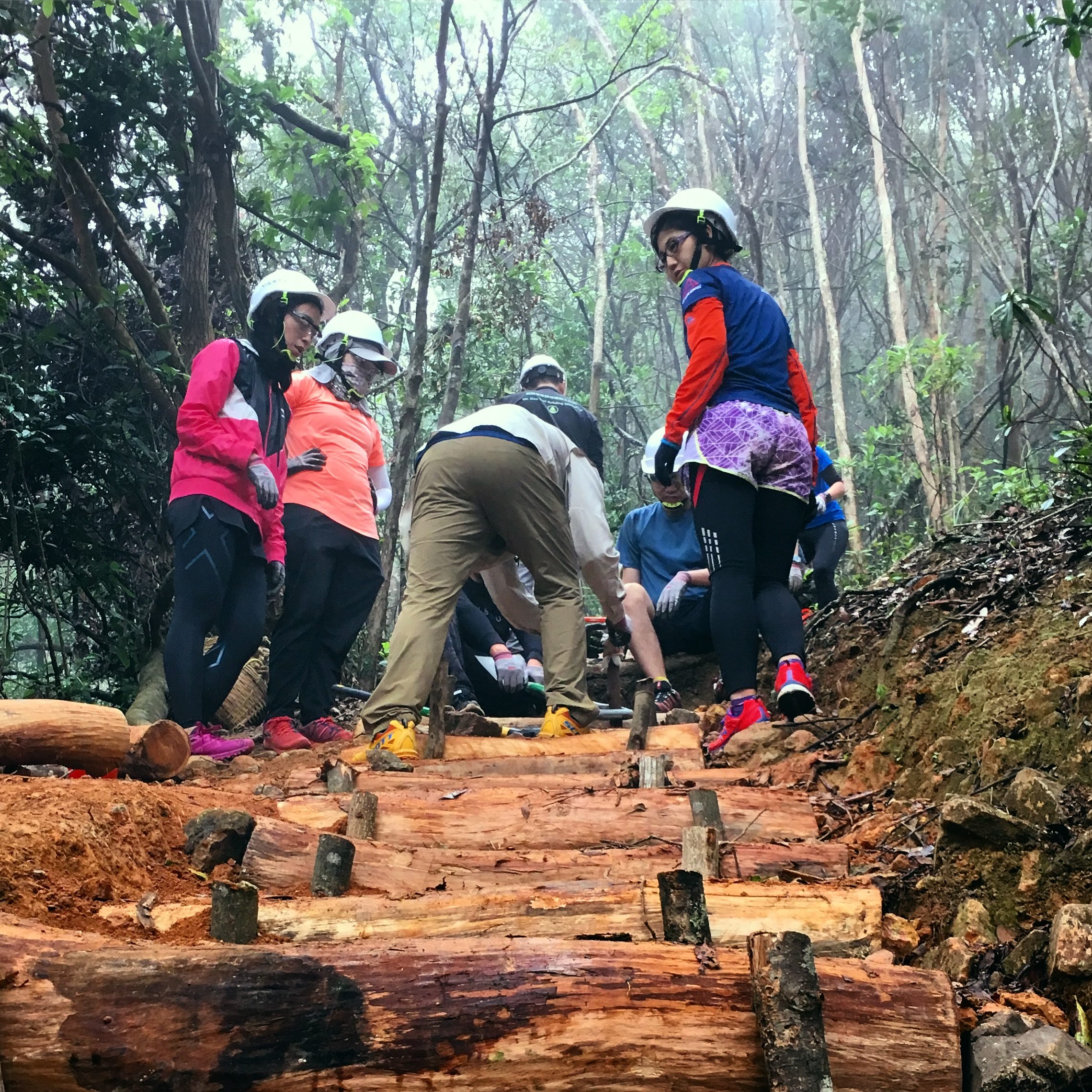 Reviving Nature: A Community Video Campaign for the Restoration of Section 4 of the MacLehose Trail